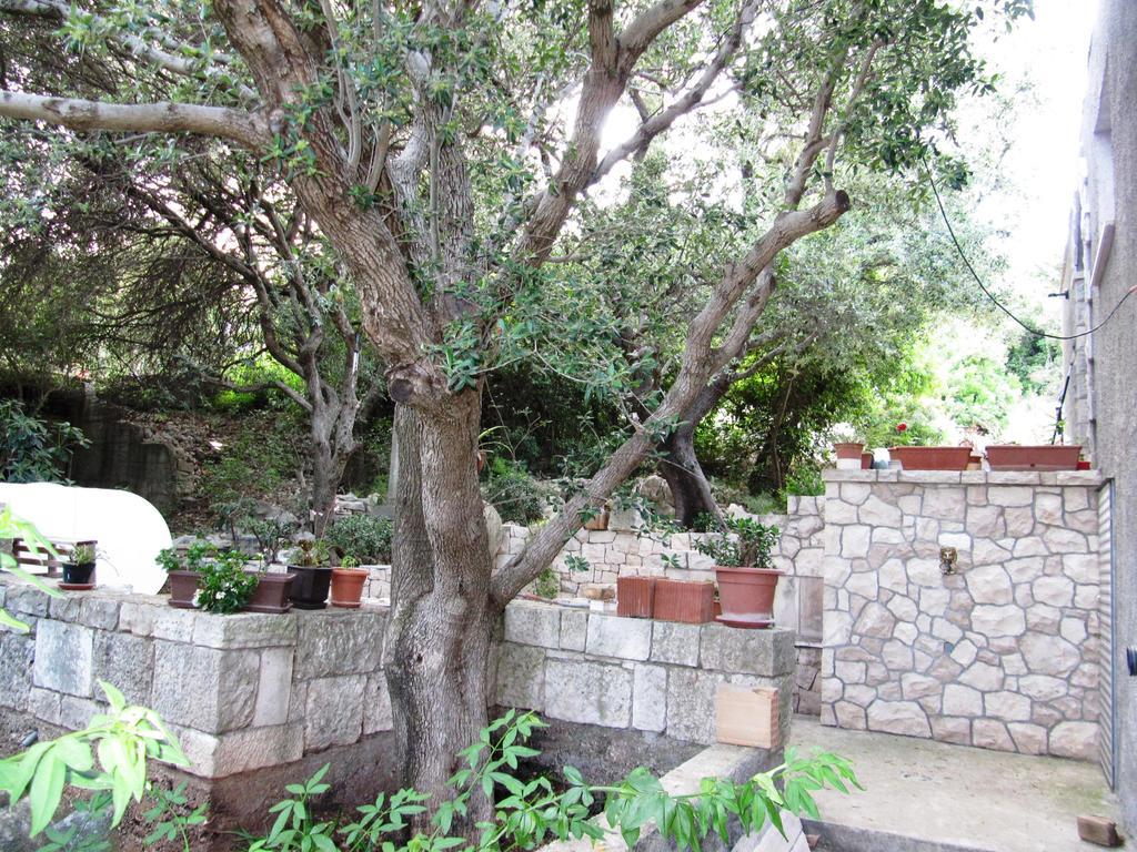 Apartmans And Rooms Dunjini Dvori Korcula Town Exterior photo